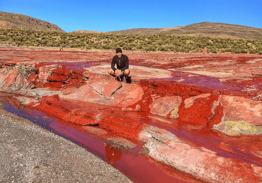 Laguna Roja: uno de los paisajes más sorprendentes del altiplano chileno